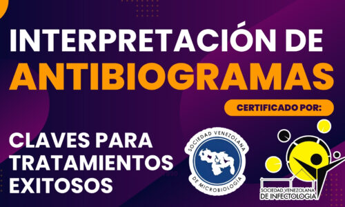 Interpretación de antibiogramas: claves para tratamientos exitosos