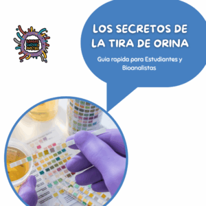 Los Secretos de la Tira de Orina | Guía rápida para Estudiantes y Bioanalistas
